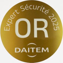 Logo Alarme Services Paiardini Daitem