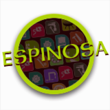 Logo Espinosa Christian SARL