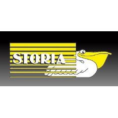 Logo Storia