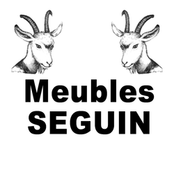 Logo Depot Vente Seguin Meubles