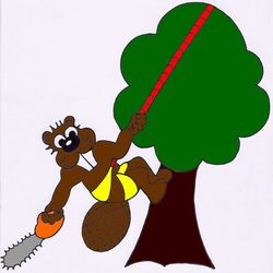Logo Castor Elagage