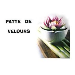 Logo Patte de Velours