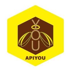 Logo Apiyou
