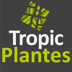 Logo Tropic Plantes