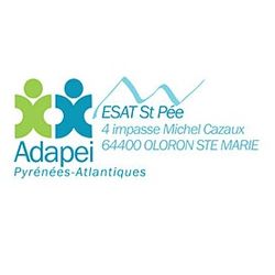 Logo Esat Saint-pée