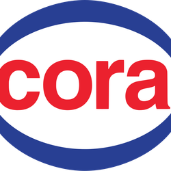 Logo Carrefour