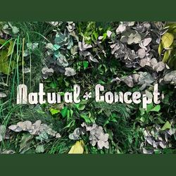 Logo Natural Concept