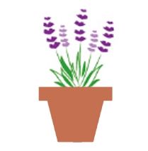 Logo Bioflore Provence Pépinière & Horticulture