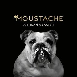 Logo Glaces Moustache-Artisan Glacier
