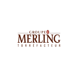 Logo Groupe Merling