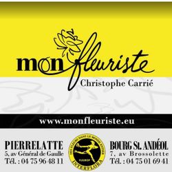 Logo Mon Fleuriste