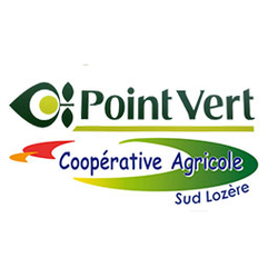 Logo Point Vert
