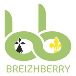 Logo OMGA Breizhberry