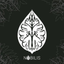 Logo Nobilis Paysage