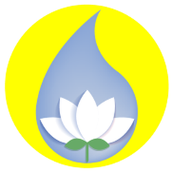 Logo Fleurs de Vie The Flower Essence Company