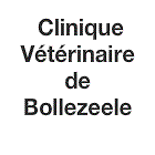 Logo Clinique Vétérinaire du Docteur Pamphile Kouman