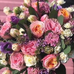 Logo Au Rythme des Saisons