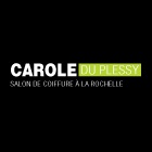 Logo Nézan Carole