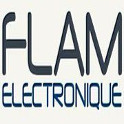 Logo E.I.R.L Lamand Flam Electronique