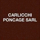 Logo Carlicchi Ponçage SARL