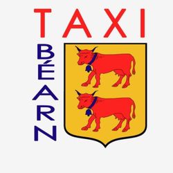 Logo Taxi Béarn