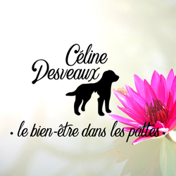Logo Céline Desveaux Le Bien-Être Dans Les Pattes