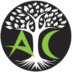 Logo Alexandre Canal