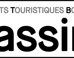 Logo TRANSPORTS MASSIMI BONIFACIO