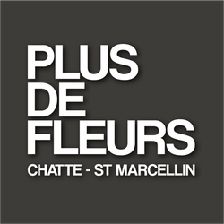 Logo Plus De Fleurs Chatte St Marcellin