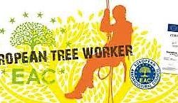 Logo Tree For Life