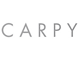 Logo CARPY COIFFEUR