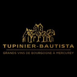Logo Domaine Tupinier Bautista