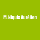 Logo Niquis Aurélien