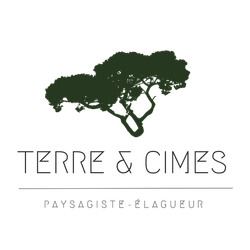 Logo Terre & Cimes Jean-Benoit Decise