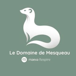 Logo Domaine de Mesqueau