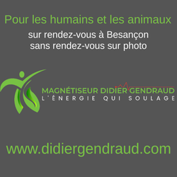 Logo Didier Gendraud Magnétiseur