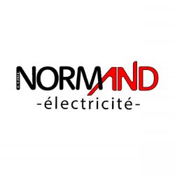 Logo Normand Electricité