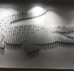 Logo Boutique Lacoste