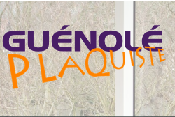 Logo Guénolé Plaquiste