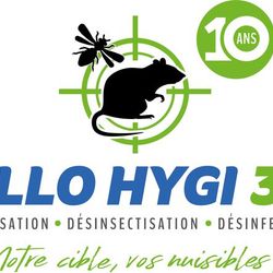 Logo Allo Hygi 3D