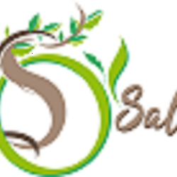 Logo O Salon