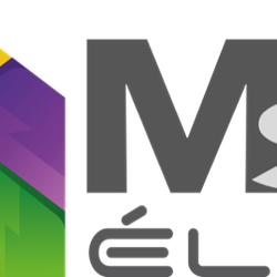 Logo MS Elec à Ventiseri