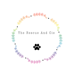 Logo The Rescue And Cie
