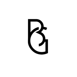 Logo Bastien Guinard Photographe