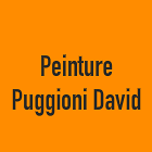 Logo Peinture Puggioni David