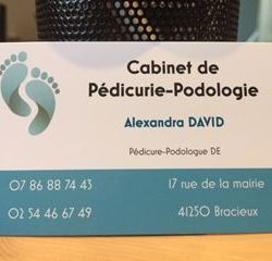 Logo David alexandra