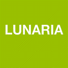 Logo Lunaria Fleuriste