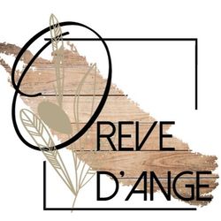 Logo Institut O'Rêve d'Ange