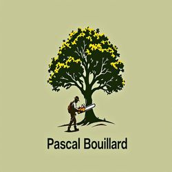 Logo Bouillard Pascal