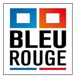 Logo Bleu Rouge SOROFI Villeurbanne